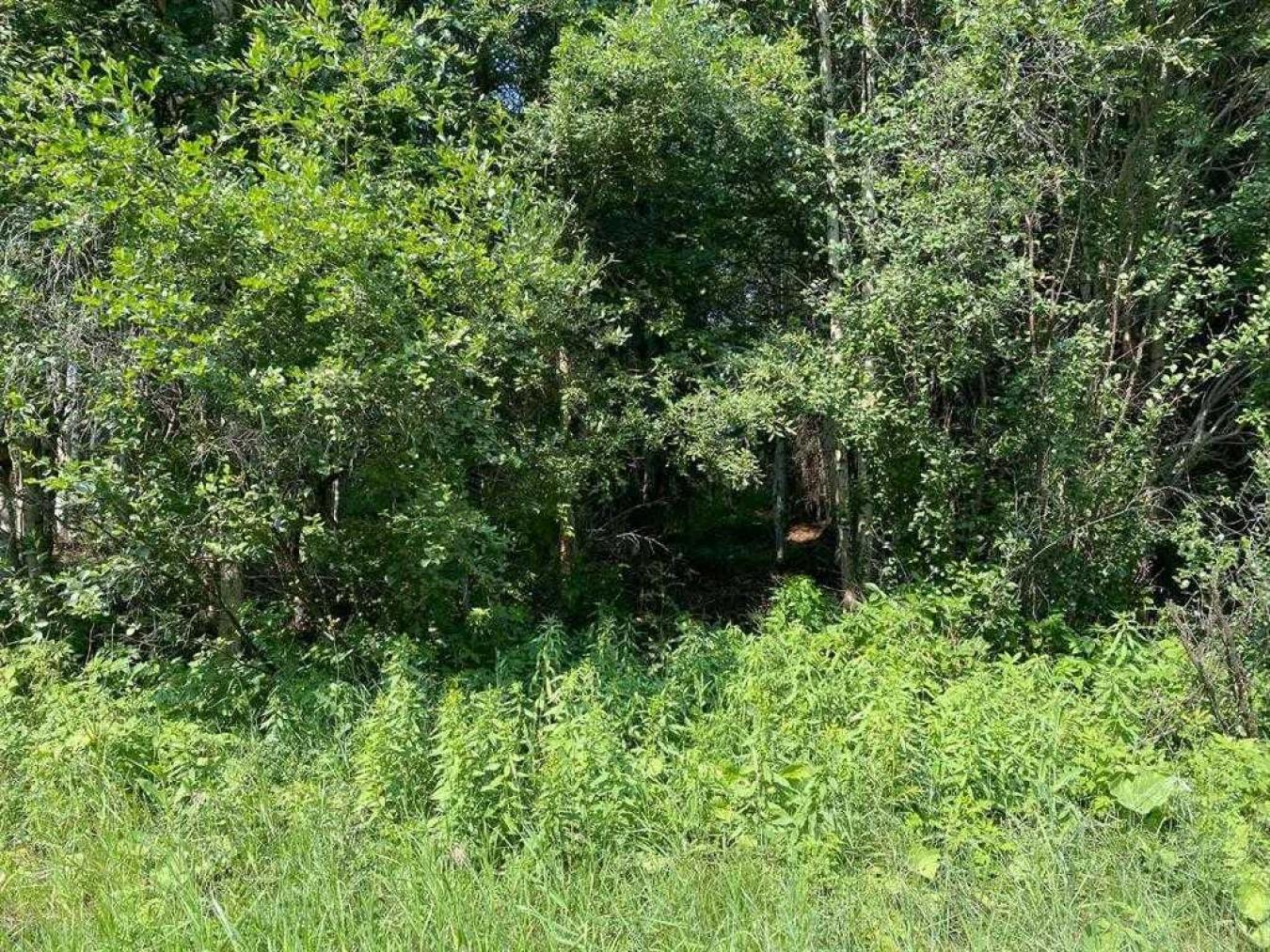 Rural Lac Ste Anne County, AB, T0E 2A0, Canada, ,Residential,For Sale,1677551