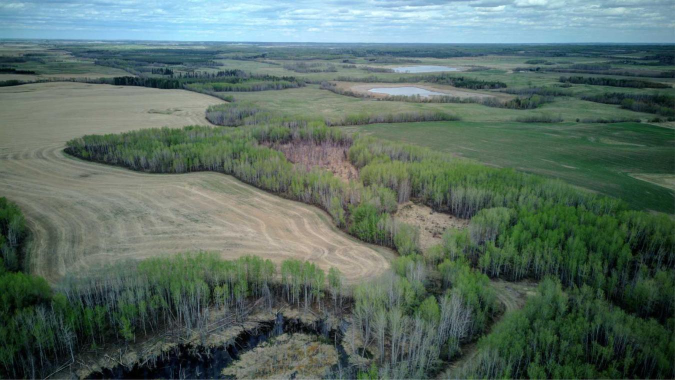 Rural Lac Ste Anne County, AB, T0E 2A0, Canada, ,Residential,For Sale,1677551