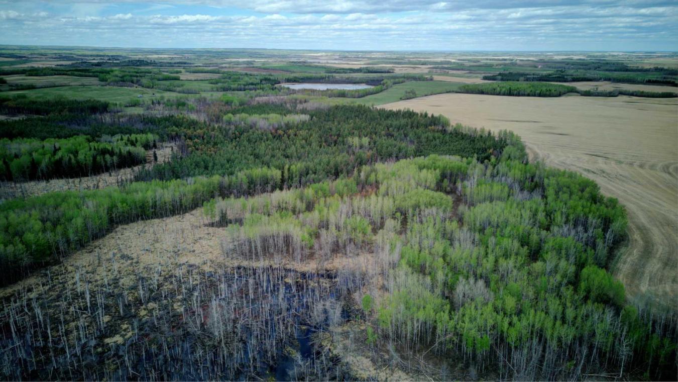 Rural Lac Ste Anne County, AB, T0E 2A0, Canada, ,Residential,For Sale,1677551