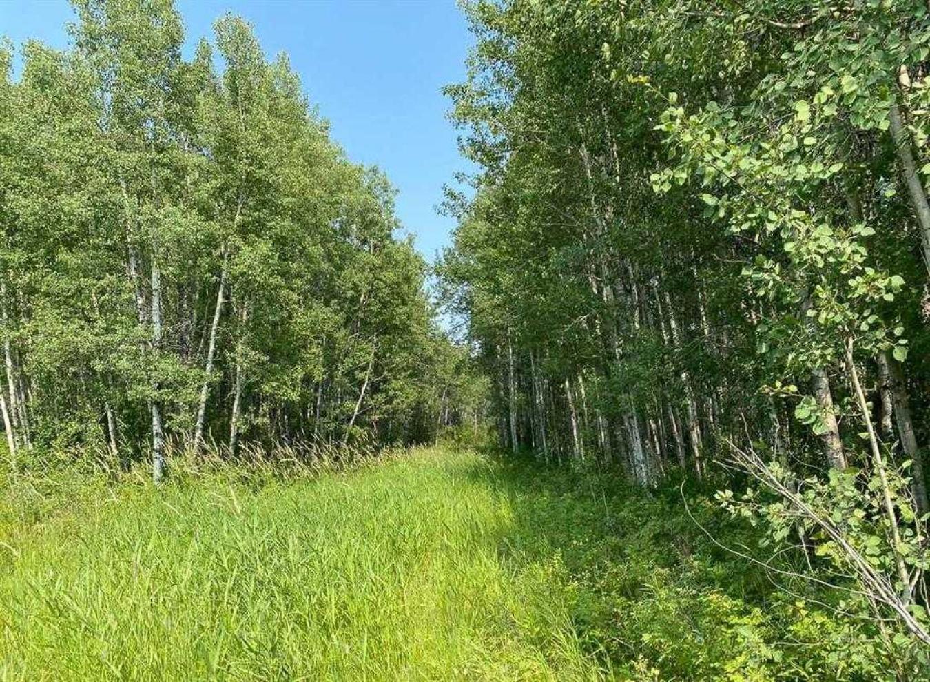 Rural Lac Ste Anne County, AB, T0E 2A0, Canada, ,Residential,For Sale,1677551