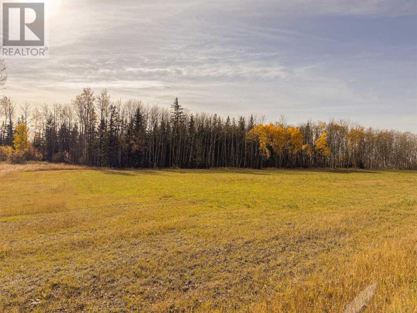 Rural Saddle Hills County, AB, T0H0H0, Canada, ,Residential,For Sale,1677550