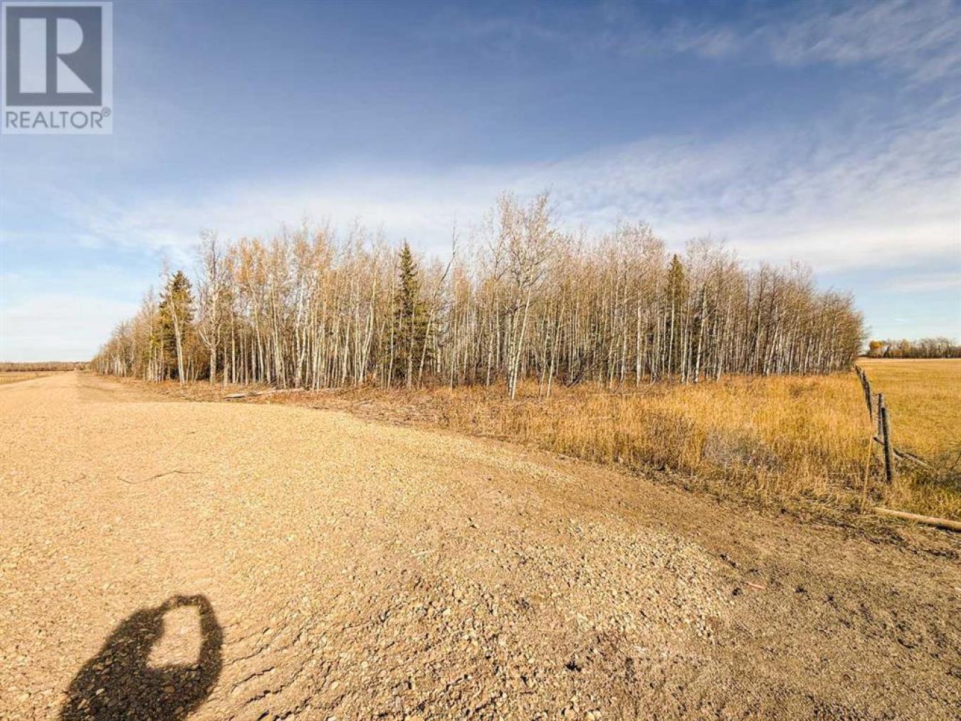 Rural Saddle Hills County, AB, T0H0H0, Canada, ,Residential,For Sale,1677550