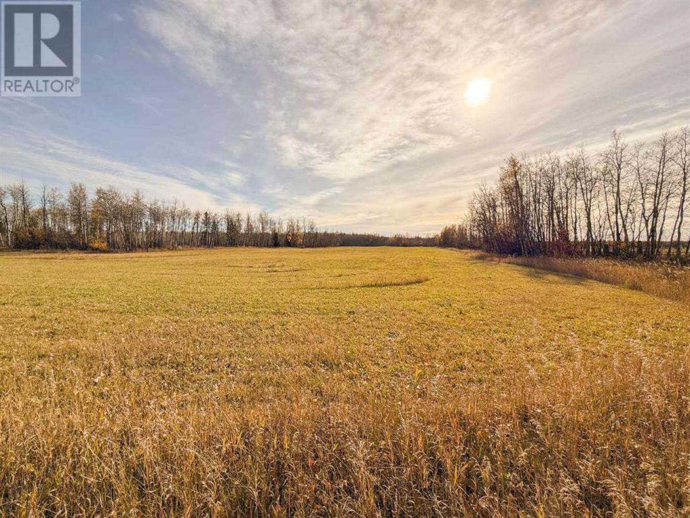 Rural Saddle Hills County, AB, T0H0H0, Canada, ,Residential,For Sale,1677550