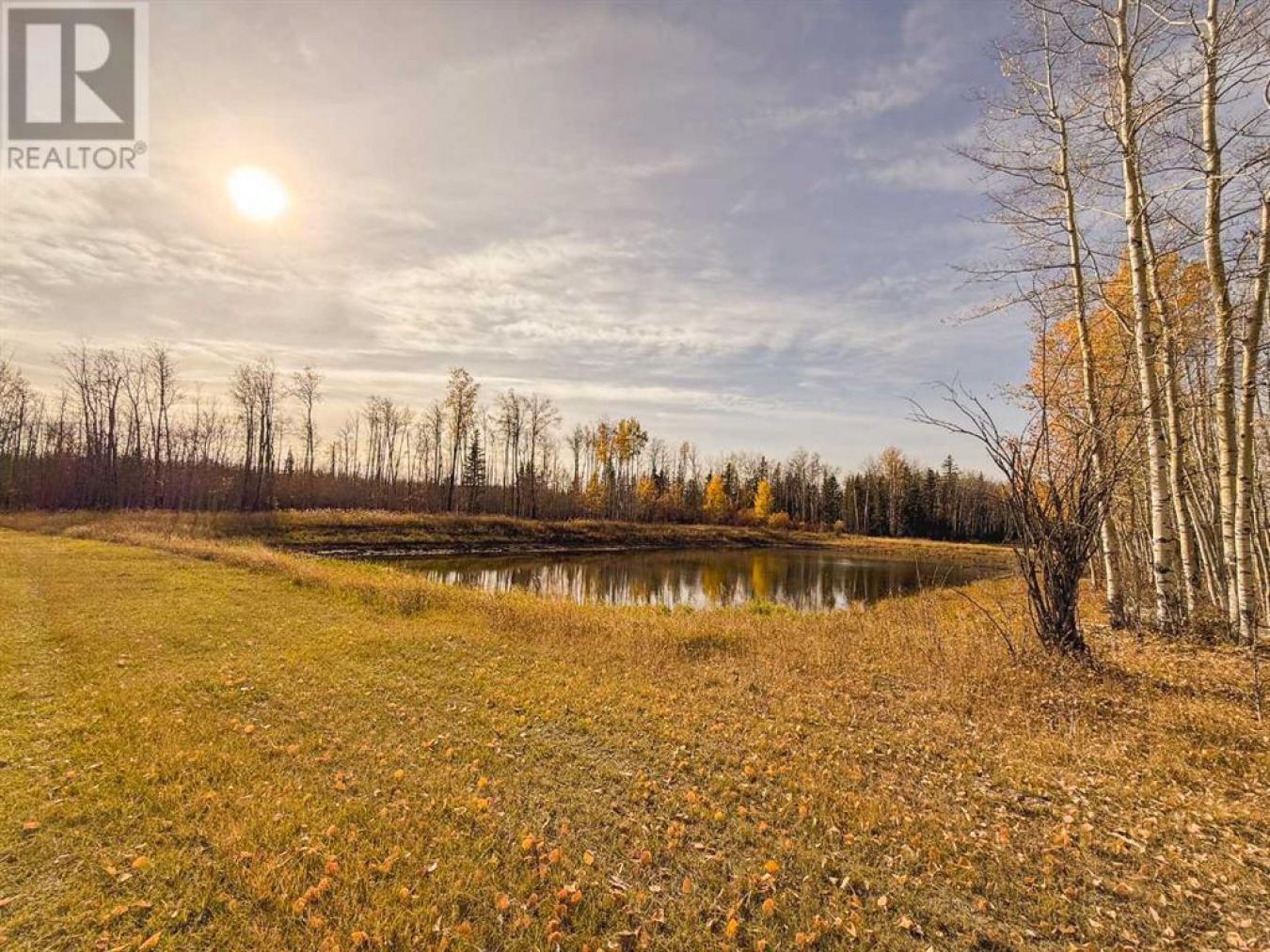 Rural Saddle Hills County, AB, T0H0H0, Canada, ,Residential,For Sale,1677550
