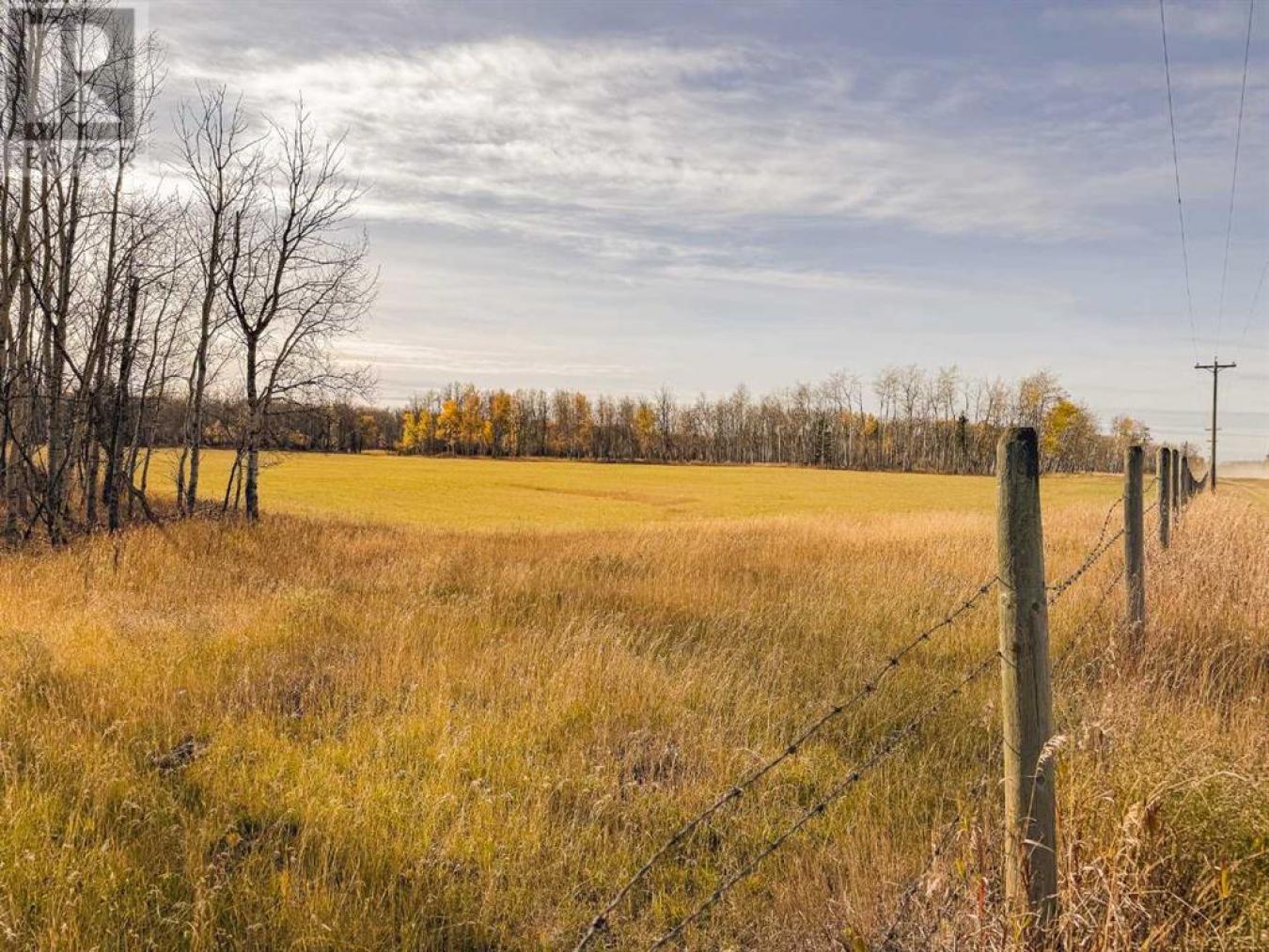 Rural Saddle Hills County, AB, T0H0H0, Canada, ,Residential,For Sale,1677550