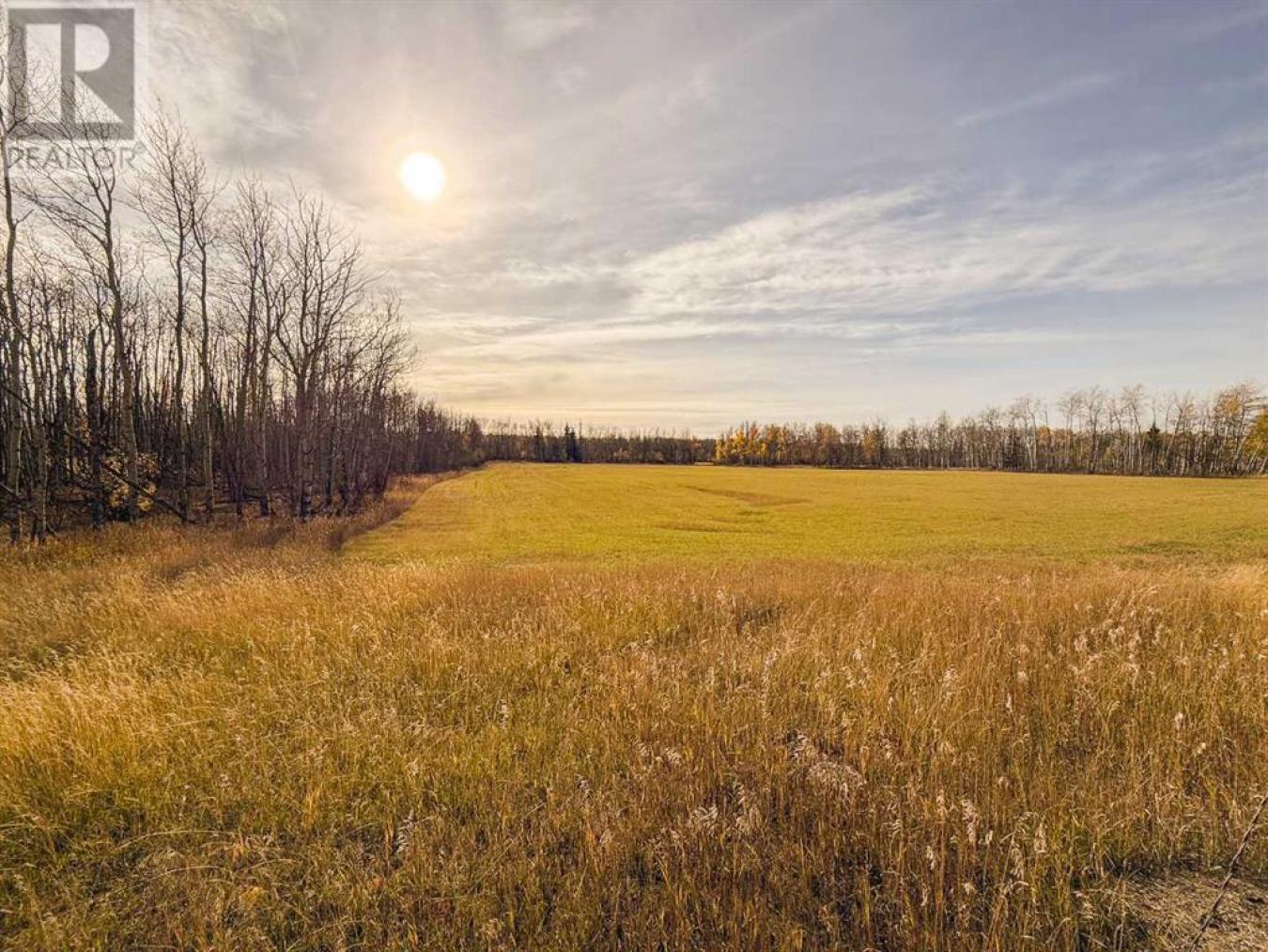 Rural Saddle Hills County, AB, T0H0H0, Canada, ,Residential,For Sale,1677550