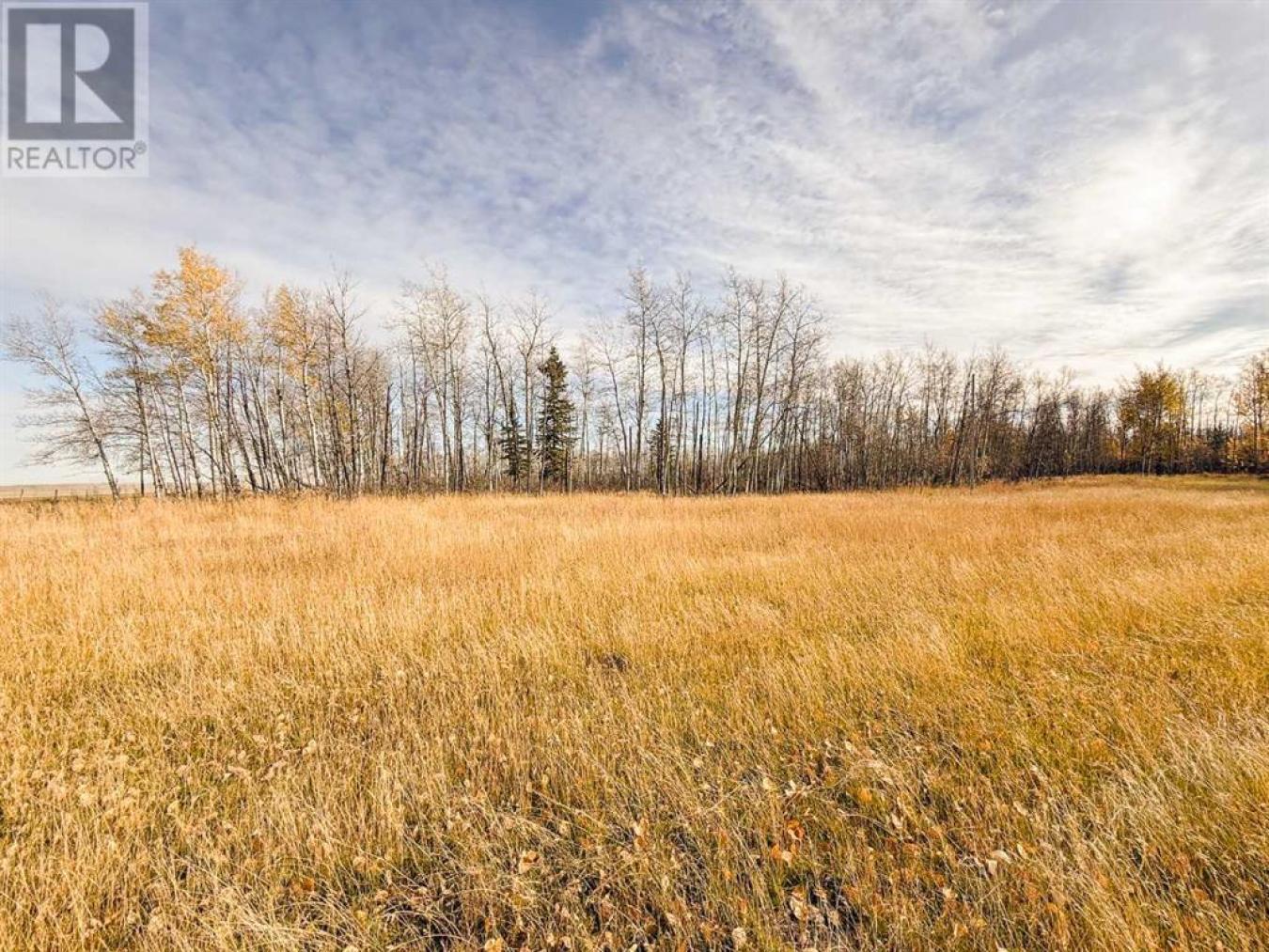 Rural Saddle Hills County, AB, T0H0H0, Canada, ,Residential,For Sale,1677550