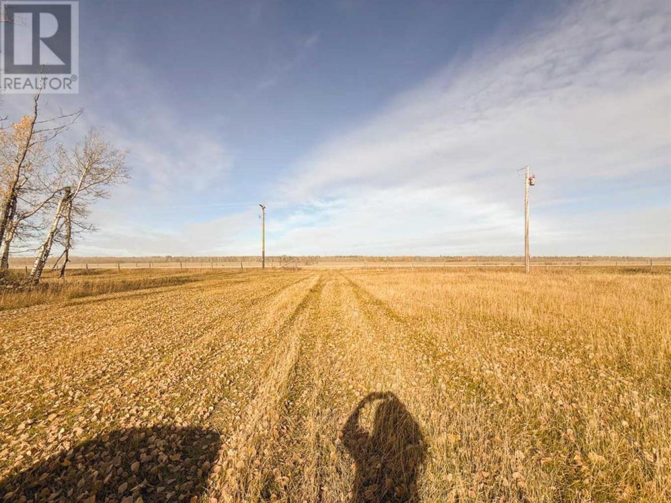 Rural Saddle Hills County, AB, T0H0H0, Canada, ,Residential,For Sale,1677550