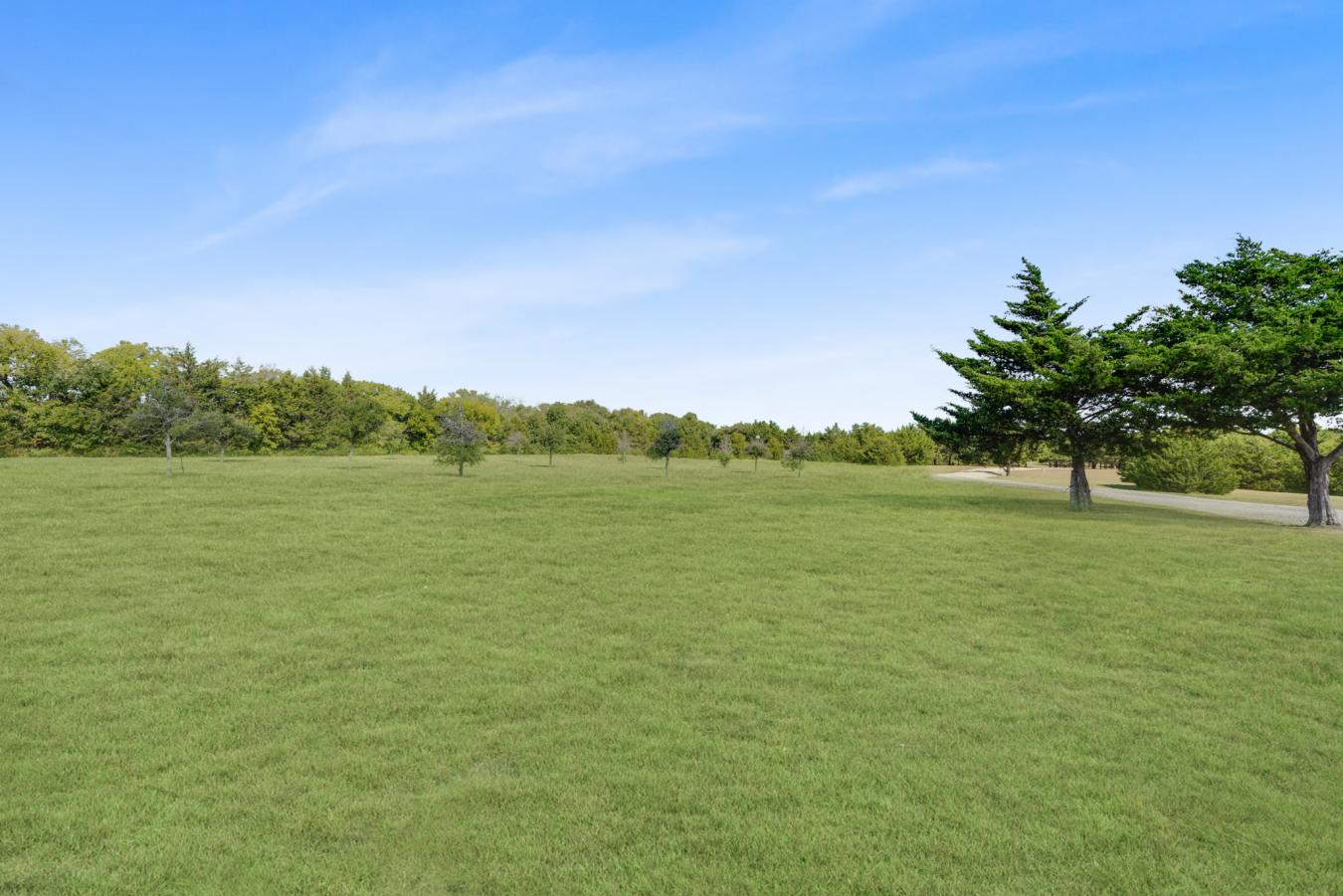 23115 S State Highway 78, Trenton, TX, 75490, United States, 3 Bedrooms Bedrooms, ,3 BathroomsBathrooms,Residential,For Sale,23115 S State Highway 78,1644778