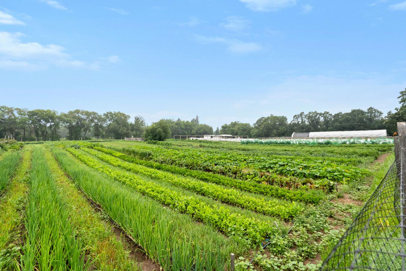 3762 Haliburton Avenue, Furdale, SK, S7T 1B2, Canada, 4 Bedrooms Bedrooms, ,5 BathroomsBathrooms,Residential,For Sale,3762 Haliburton Avenue,1644772