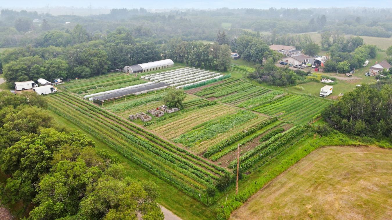 3762 Haliburton Avenue, Furdale, SK, S7T 1B2, Canada, 4 Bedrooms Bedrooms, ,5 BathroomsBathrooms,Residential,For Sale,3762 Haliburton Avenue,1644772