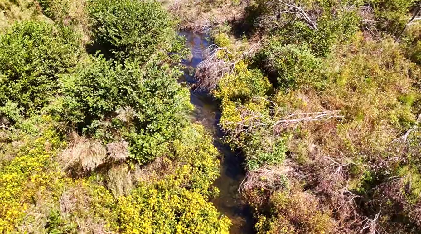 4515 State Highway 20, Freeport, Florida, 32439, United States, ,Residential,For Sale,4515 State Highway 20,1645565