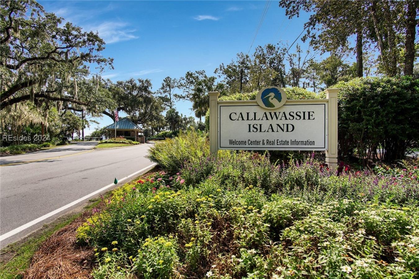 31 Spring Island Drive, Okatie, SC, 29909, United States, ,Residential,For Sale,31 Spring Island Drive,1653770