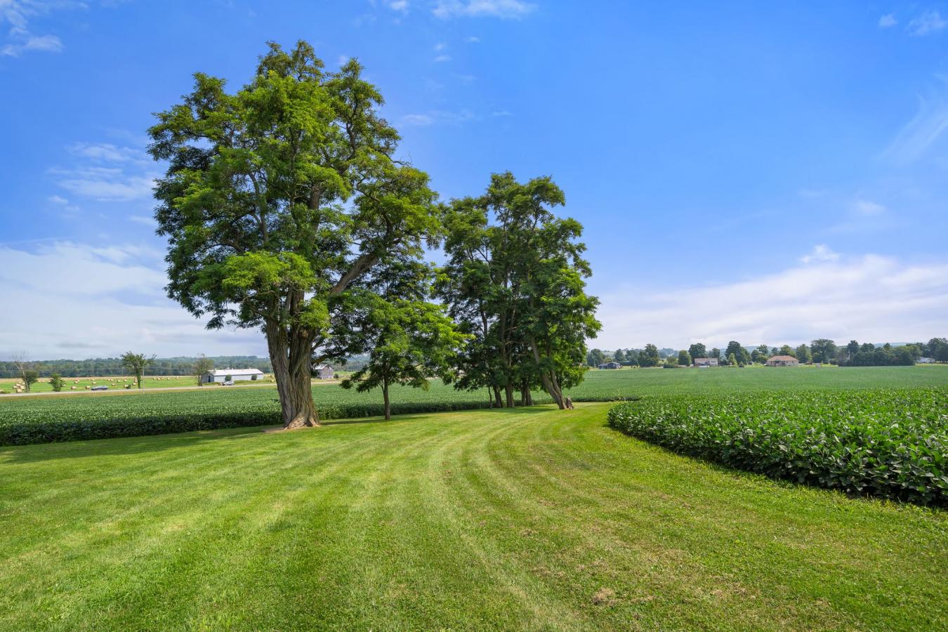 638 County Rd. 28, Millbrook, ON, L0A 1G0, Canada, 4 Bedrooms Bedrooms, ,4 BathroomsBathrooms,Residential,For Sale,638 County Rd. 28,1657674