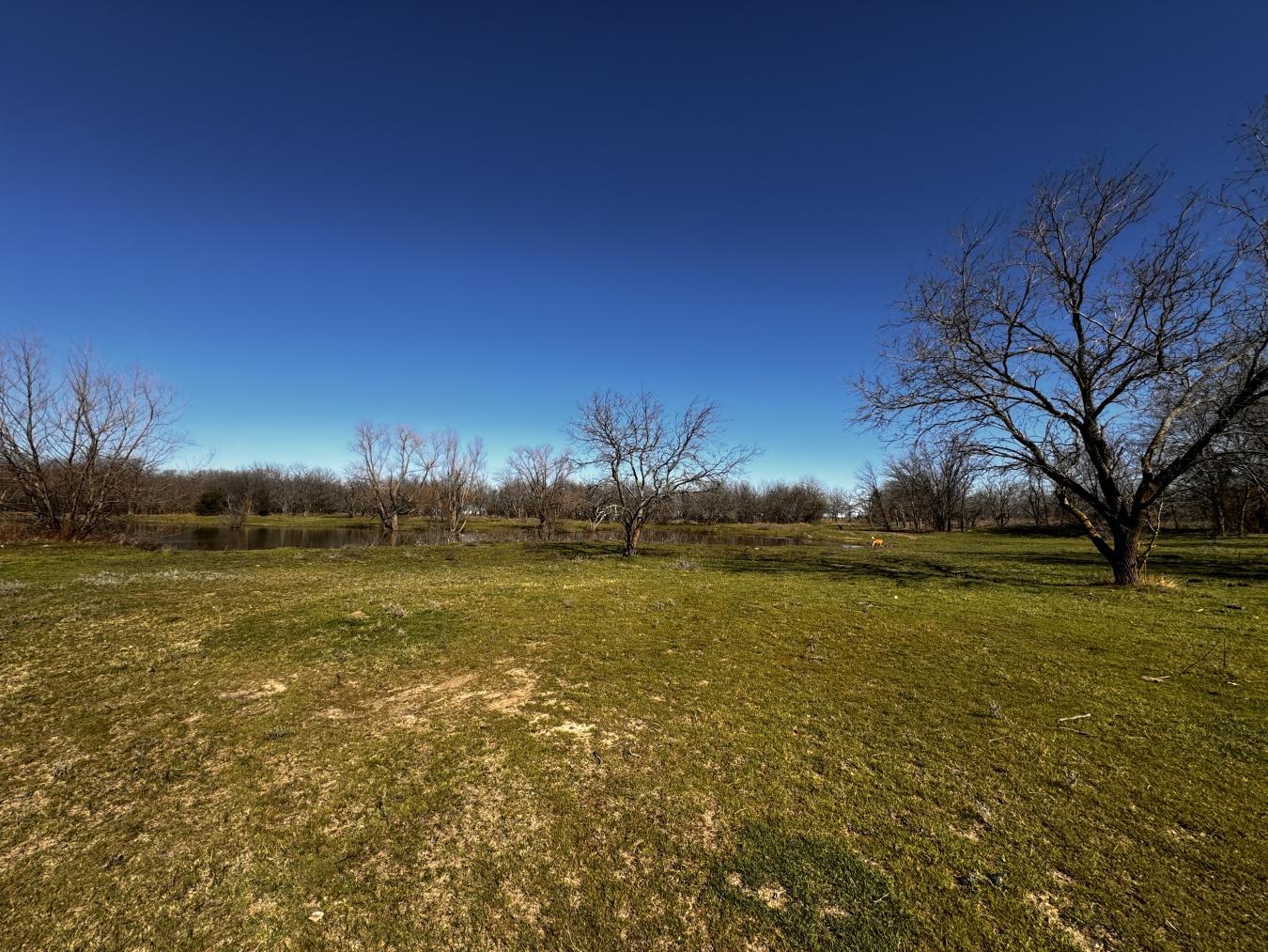 261 Vickie Lane, Gunter, TX, 75058, United States, 3 Bedrooms Bedrooms, ,4 BathroomsBathrooms,Residential,For Sale,261 Vickie Lane,1657657