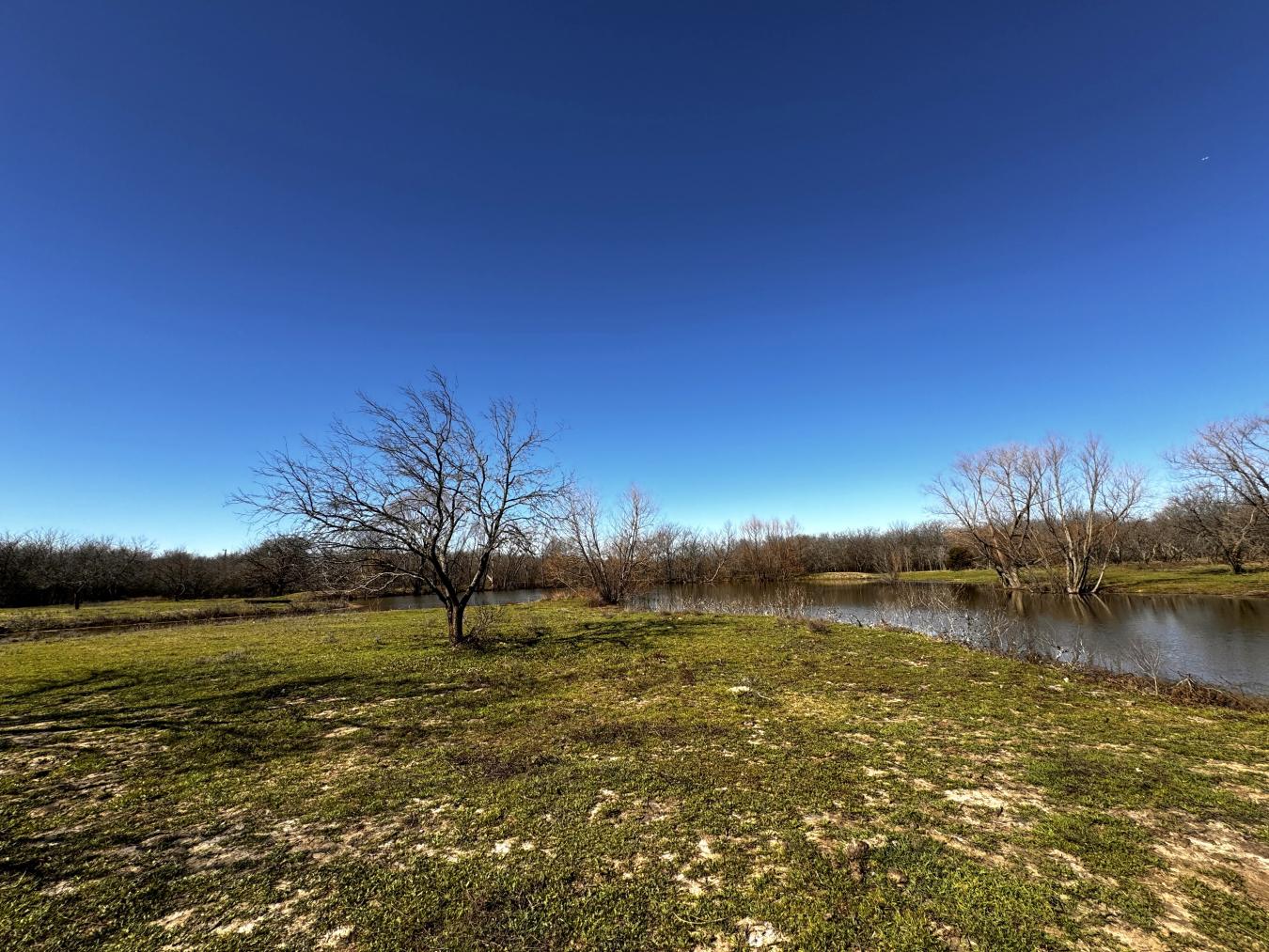 261 Vickie Lane, Gunter, TX, 75058, United States, 3 Bedrooms Bedrooms, ,4 BathroomsBathrooms,Residential,For Sale,261 Vickie Lane,1657657