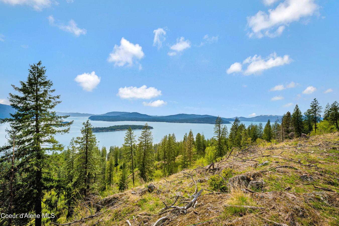 Parcel 2 Auxor Road, Hope, ID, 83836, United States, ,Residential,For Sale,Parcel 2 Auxor Road,1661158