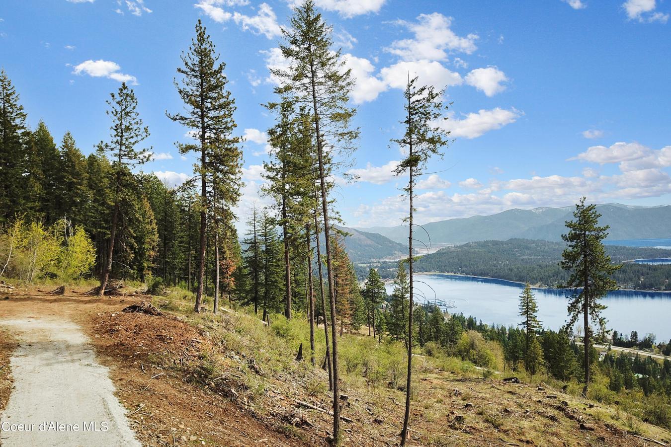 Parcel 2 Auxor Road, Hope, ID, 83836, United States, ,Residential,For Sale,Parcel 2 Auxor Road,1661158