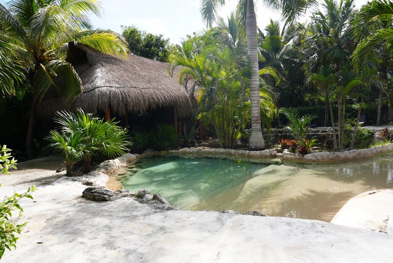 Predio Santa Teresita, Akumal, Akumal, Q.R., 77776, Mexico, 6 Bedrooms Bedrooms, ,2 BathroomsBathrooms,Residential,For Sale,Predio Santa Teresita, Akumal,1669743