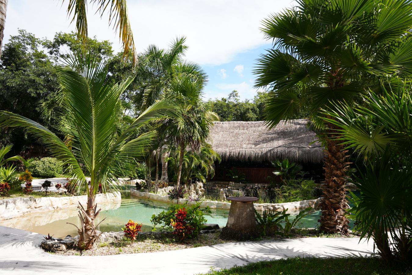 Predio Santa Teresita, Akumal, Akumal, Q.R., 77776, Mexico, 6 Bedrooms Bedrooms, ,2 BathroomsBathrooms,Residential,For Sale,Predio Santa Teresita, Akumal,1669743