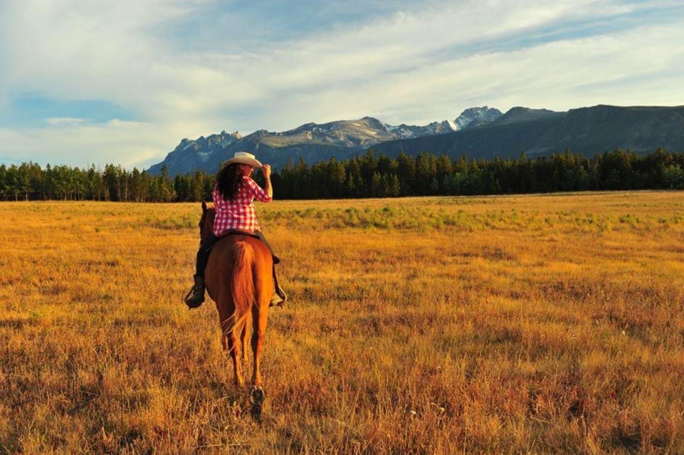 6775 Tatlayoko Road, Williams Lake, British Columbia, V0L 1W0, Canada, 5 Bedrooms Bedrooms, ,2 BathroomsBathrooms,Residential,For Sale,6775 Tatlayoko Road,1669741