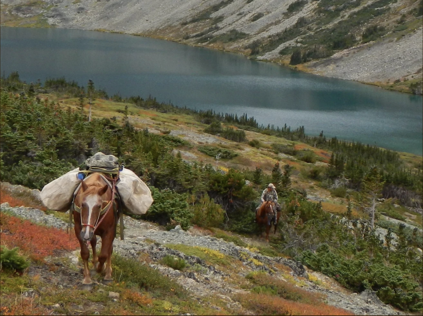 6775 Tatlayoko Road, Williams Lake, British Columbia, V0L 1W0, Canada, 5 Bedrooms Bedrooms, ,2 BathroomsBathrooms,Residential,For Sale,6775 Tatlayoko Road,1669741