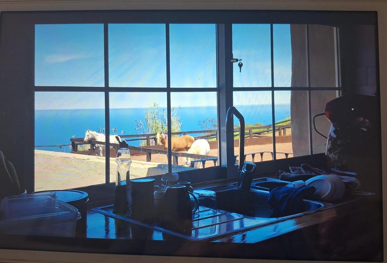 Monta?a del Pulpito, #73, San Cristobal La Laguna, Santa Cruz de Tenerife, 38204, Spain, 1 Bedroom Bedrooms, ,1 BathroomBathrooms,Residential,For Sale,Monta?a del Pulpito, #73,1670471