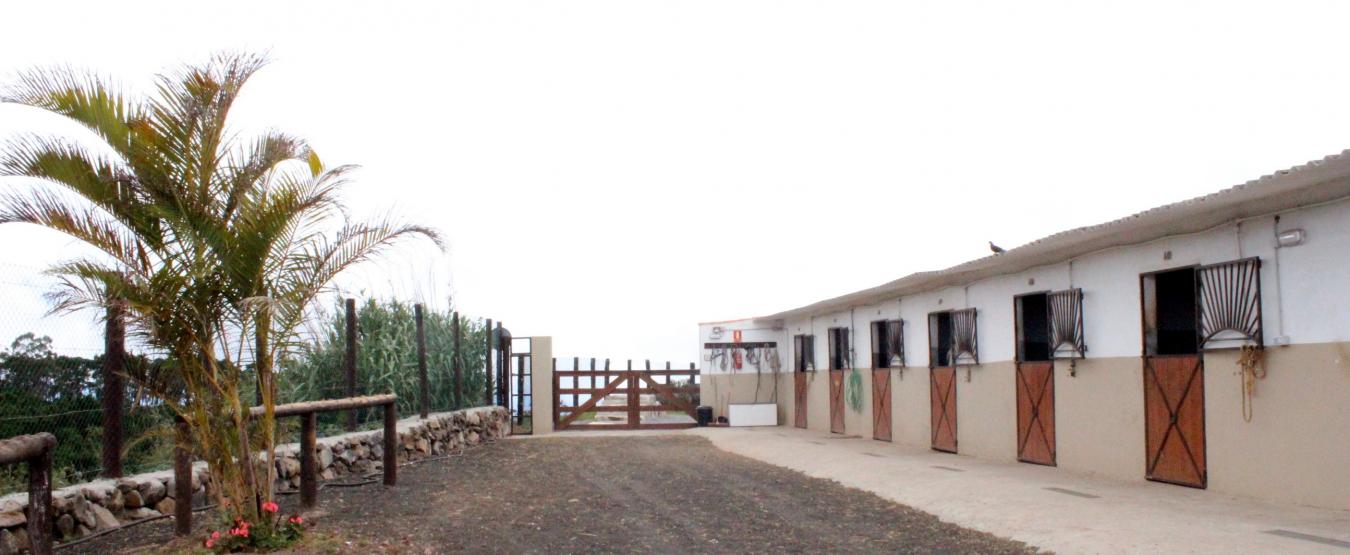 Monta?a del Pulpito, #73, San Cristobal La Laguna, Santa Cruz de Tenerife, 38204, Spain, 1 Bedroom Bedrooms, ,1 BathroomBathrooms,Residential,For Sale,Monta?a del Pulpito, #73,1670471