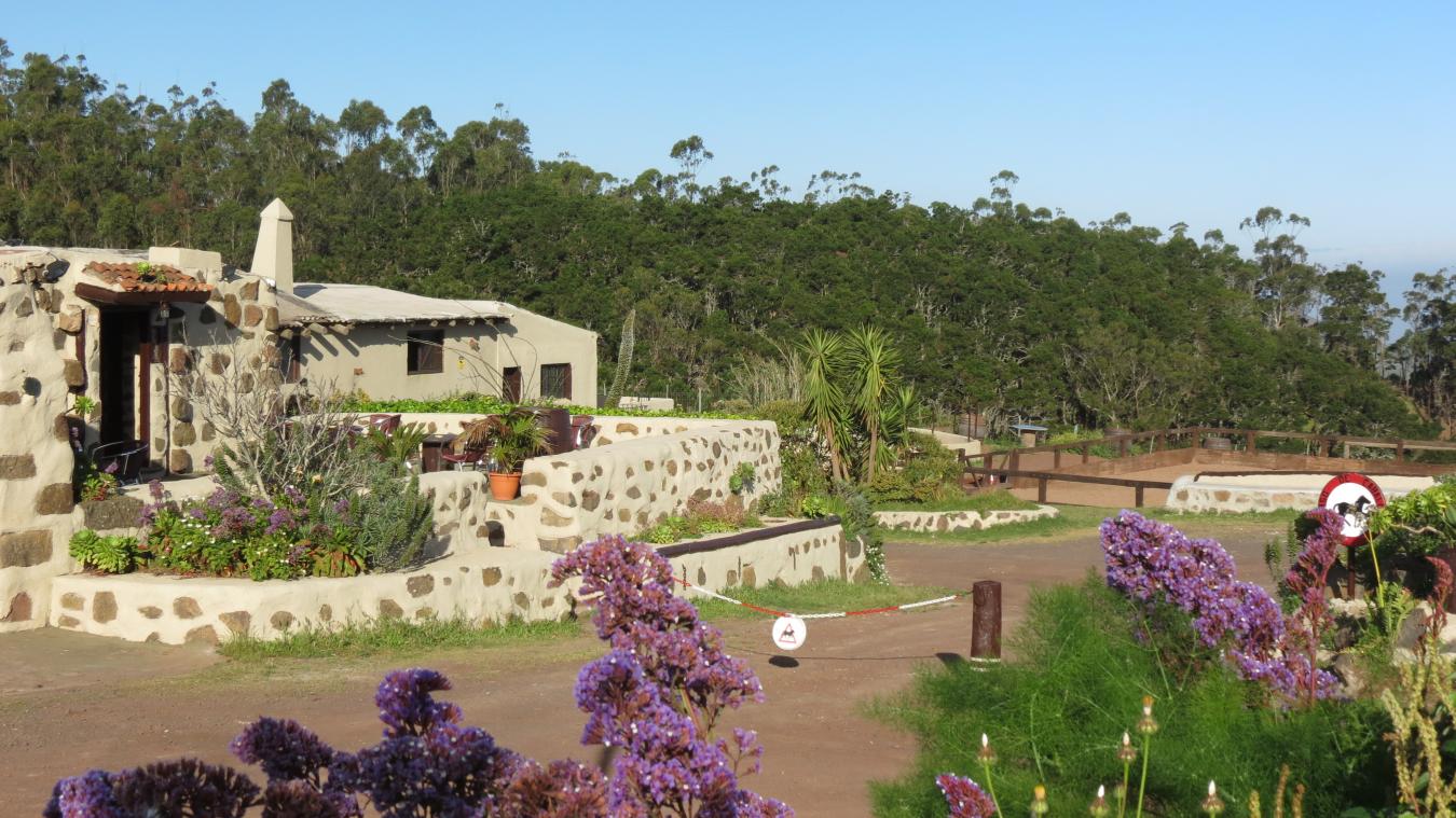 Monta?a del Pulpito, #73, San Cristobal La Laguna, Santa Cruz de Tenerife, 38204, Spain, 1 Bedroom Bedrooms, ,1 BathroomBathrooms,Residential,For Sale,Monta?a del Pulpito, #73,1670471