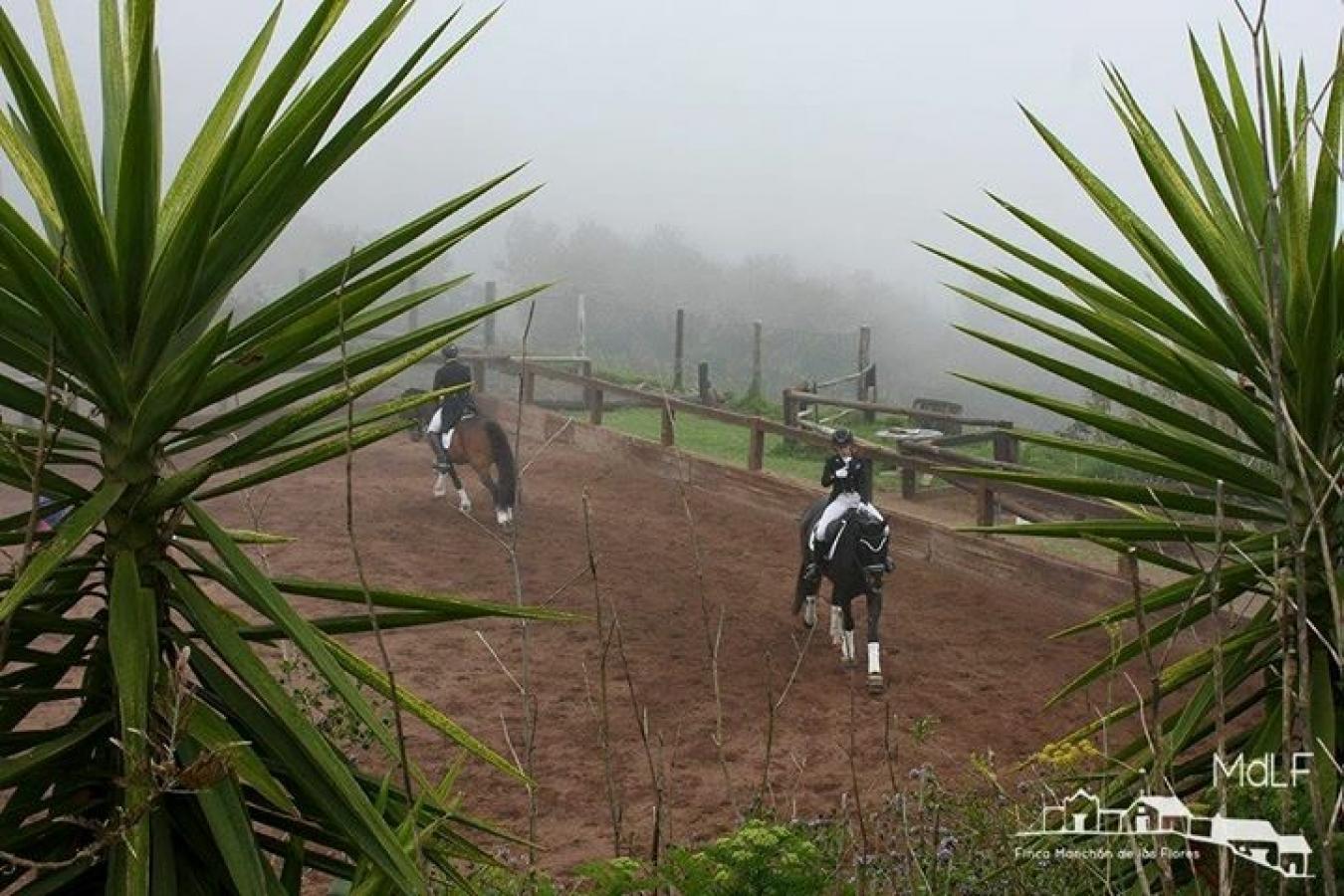 Monta?a del Pulpito, #73, San Cristobal La Laguna, Santa Cruz de Tenerife, 38204, Spain, 1 Bedroom Bedrooms, ,1 BathroomBathrooms,Residential,For Sale,Monta?a del Pulpito, #73,1670471