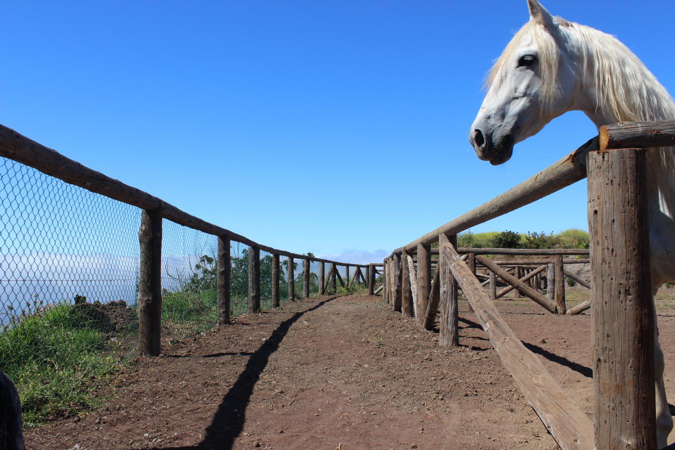 Monta?a del Pulpito, #73, San Cristobal La Laguna, Santa Cruz de Tenerife, 38204, Spain, 1 Bedroom Bedrooms, ,1 BathroomBathrooms,Residential,For Sale,Monta?a del Pulpito, #73,1670471