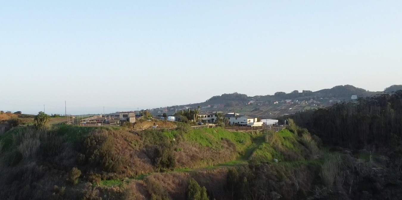 Monta?a del Pulpito, #73, San Cristobal La Laguna, Santa Cruz de Tenerife, 38204, Spain, 1 Bedroom Bedrooms, ,1 BathroomBathrooms,Residential,For Sale,Monta?a del Pulpito, #73,1670471