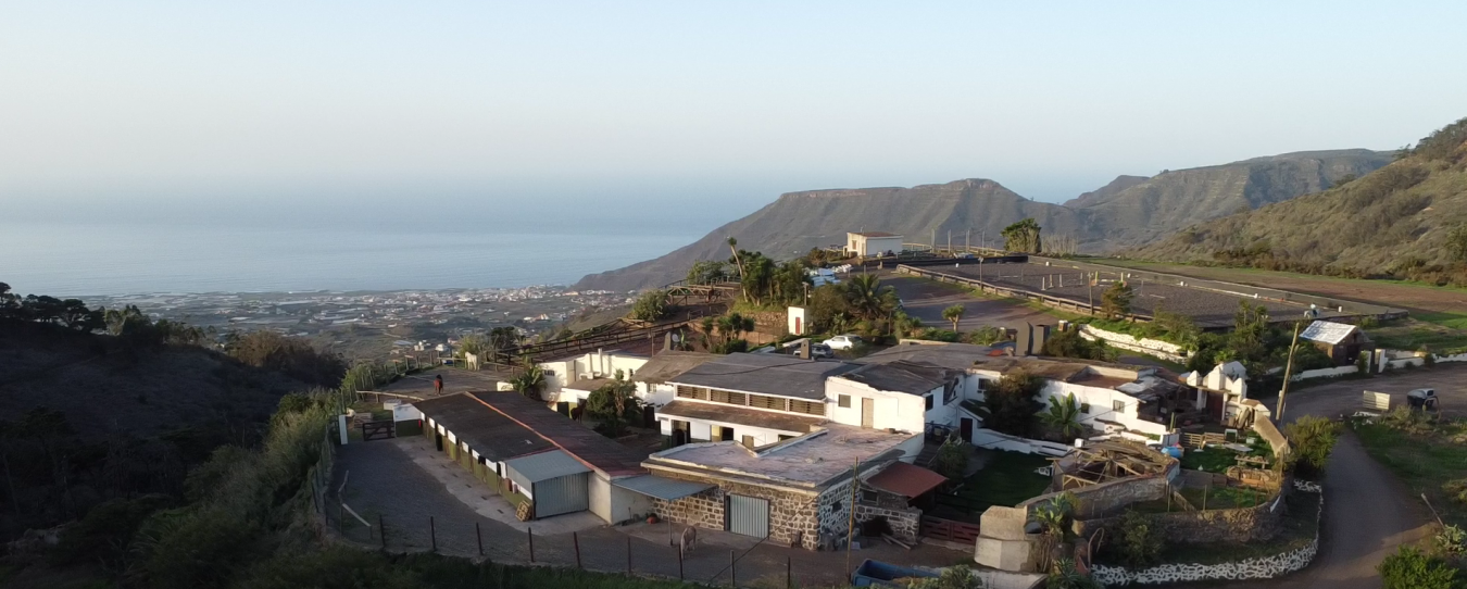 Monta?a del Pulpito, #73, San Cristobal La Laguna, Santa Cruz de Tenerife, 38204, Spain, 1 Bedroom Bedrooms, ,1 BathroomBathrooms,Residential,For Sale,Monta?a del Pulpito, #73,1670471