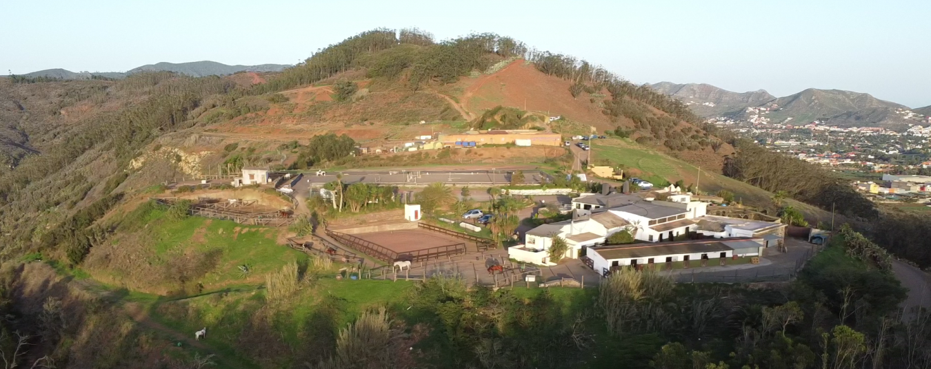 Monta?a del Pulpito, #73, San Cristobal La Laguna, Santa Cruz de Tenerife, 38204, Spain, 1 Bedroom Bedrooms, ,1 BathroomBathrooms,Residential,For Sale,Monta?a del Pulpito, #73,1670471