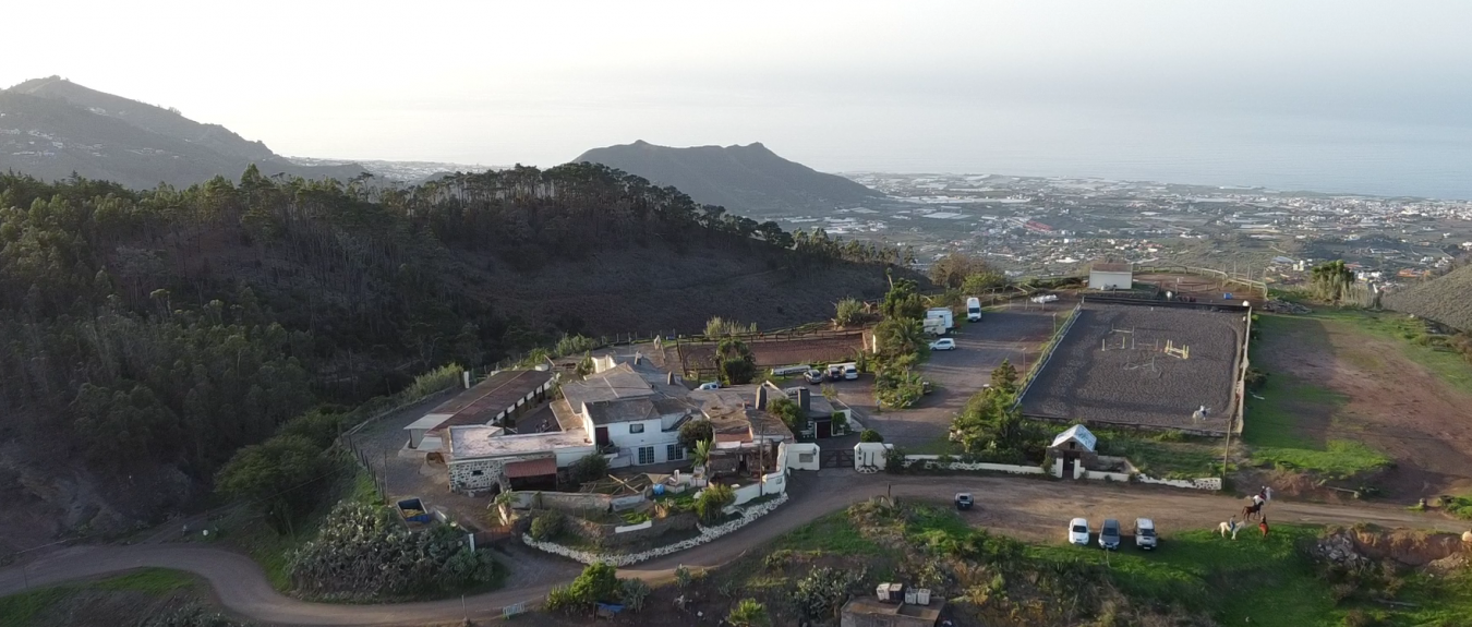 Monta?a del Pulpito, #73, San Cristobal La Laguna, Santa Cruz de Tenerife, 38204, Spain, 1 Bedroom Bedrooms, ,1 BathroomBathrooms,Residential,For Sale,Monta?a del Pulpito, #73,1670471