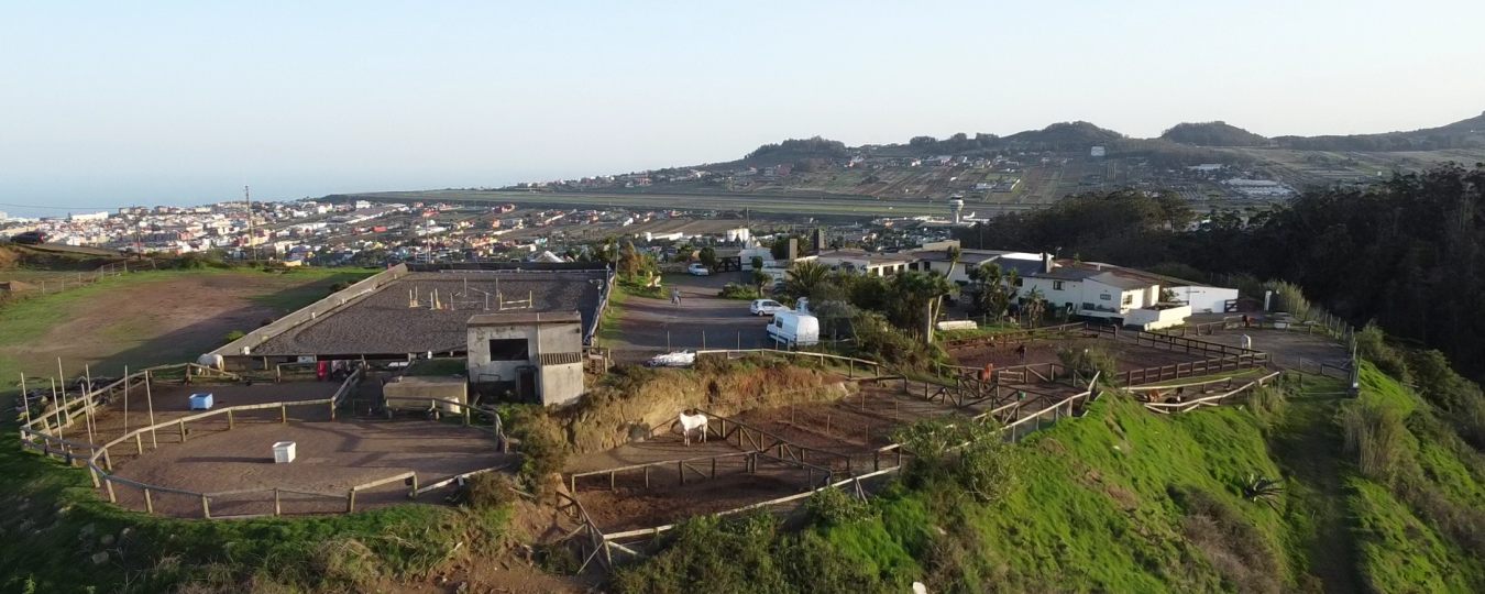 Monta?a del Pulpito, #73, San Cristobal La Laguna, Santa Cruz de Tenerife, 38204, Spain, 1 Bedroom Bedrooms, ,1 BathroomBathrooms,Residential,For Sale,Monta?a del Pulpito, #73,1670471