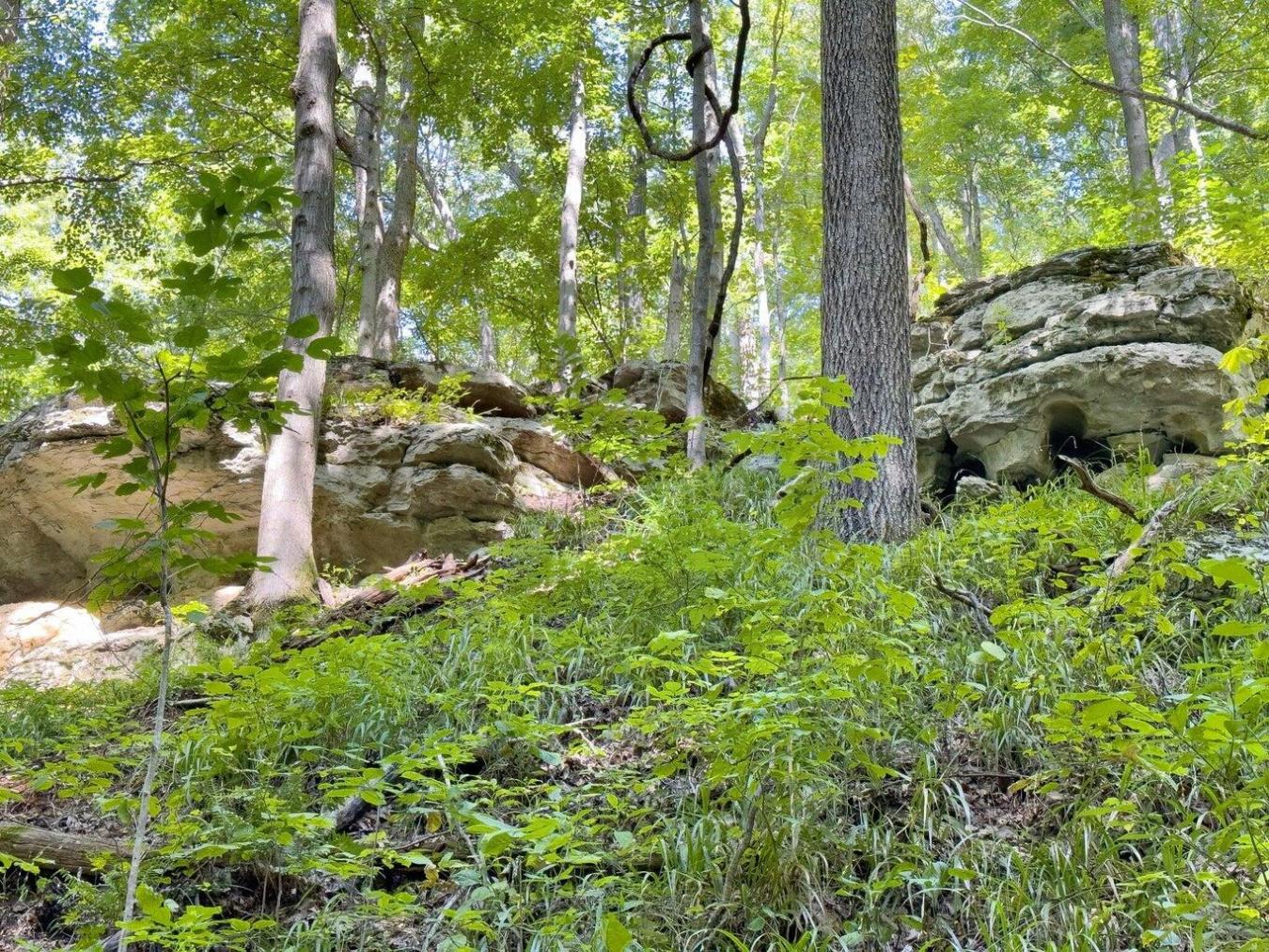 9999 Sunrise Valley Tract 3 Road, Irvine, KY, 40336, United States, ,Residential,For Sale,9999 Sunrise Valley Tract 3 Road,1671604