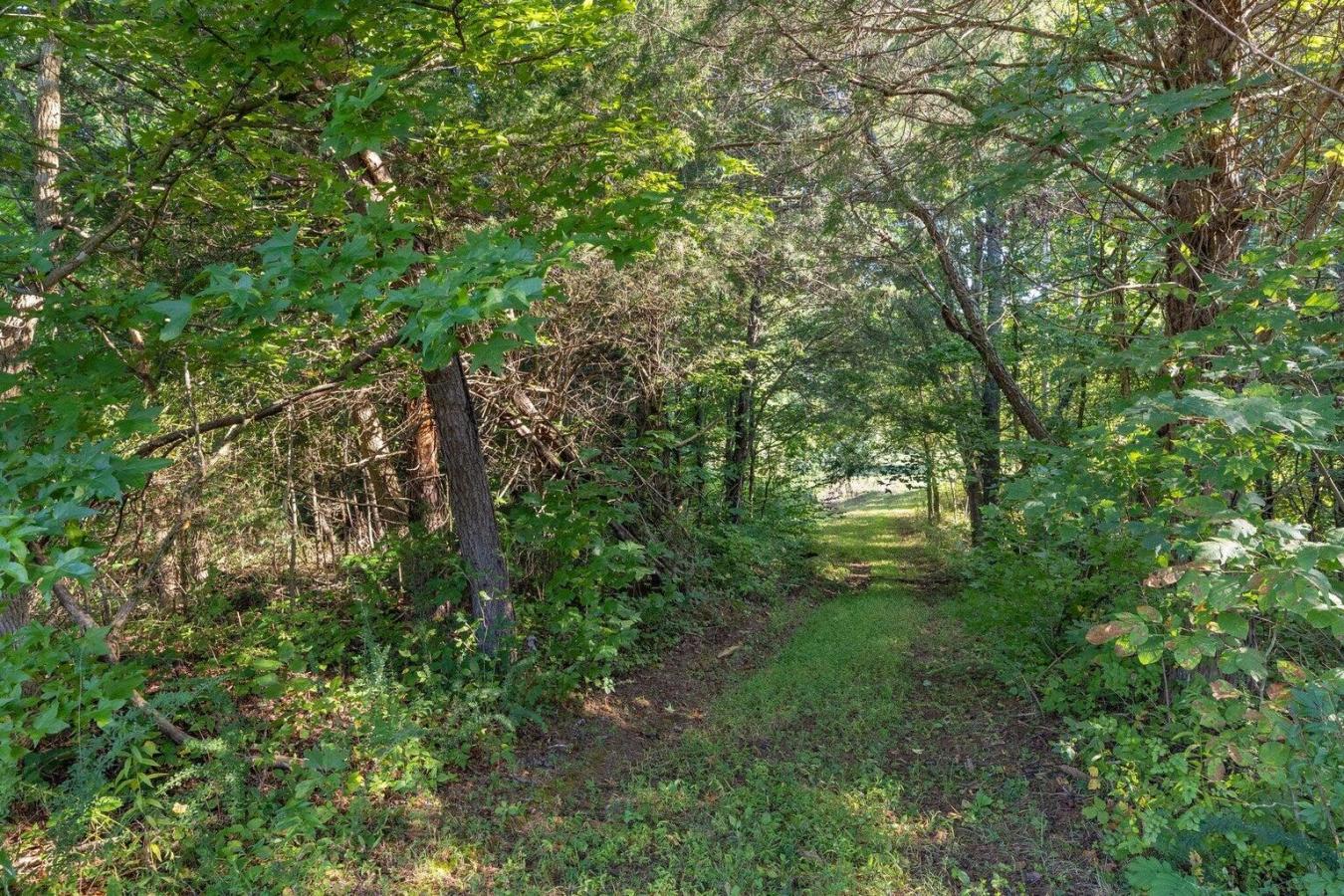 9999 Sunrise Valley Tract 3 Road, Irvine, KY, 40336, United States, ,Residential,For Sale,9999 Sunrise Valley Tract 3 Road,1671604