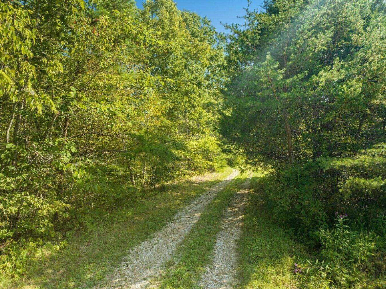 9999 Sunrise Valley Tract 3 Road, Irvine, KY, 40336, United States, ,Residential,For Sale,9999 Sunrise Valley Tract 3 Road,1671604