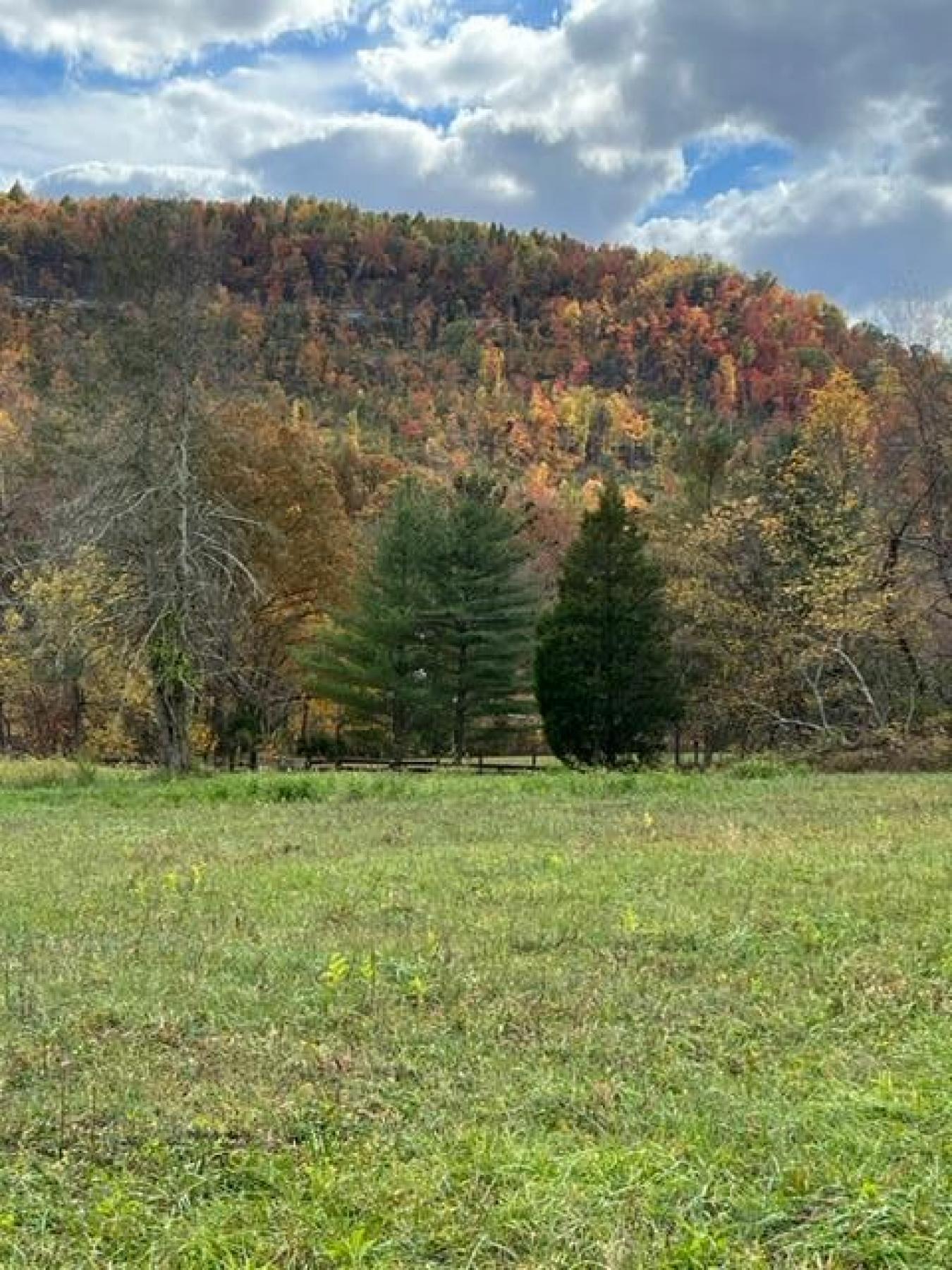 9999 Sunrise Valley Tract 3 Road, Irvine, KY, 40336, United States, ,Residential,For Sale,9999 Sunrise Valley Tract 3 Road,1671604