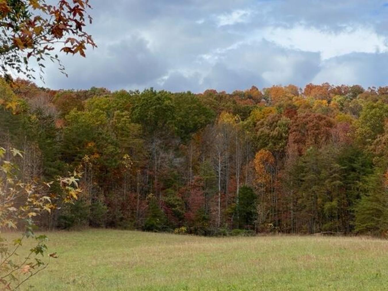 9999 Sunrise Valley Tract 3 Road, Irvine, KY, 40336, United States, ,Residential,For Sale,9999 Sunrise Valley Tract 3 Road,1671604