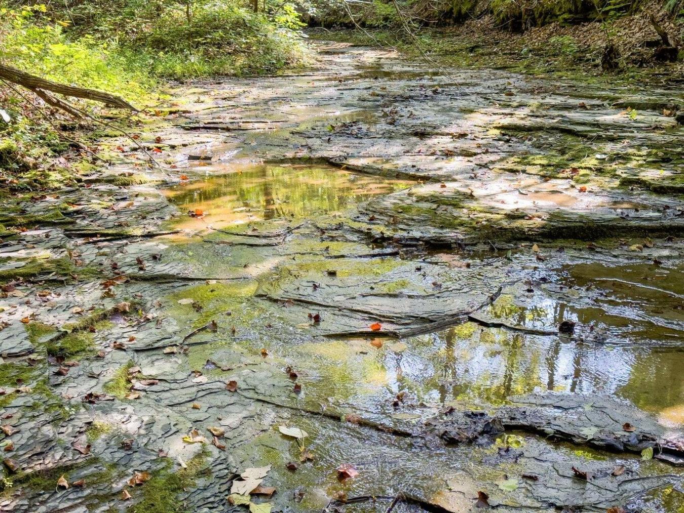 9999 Sunrise Valley Tract 3 Road, Irvine, KY, 40336, United States, ,Residential,For Sale,9999 Sunrise Valley Tract 3 Road,1671604