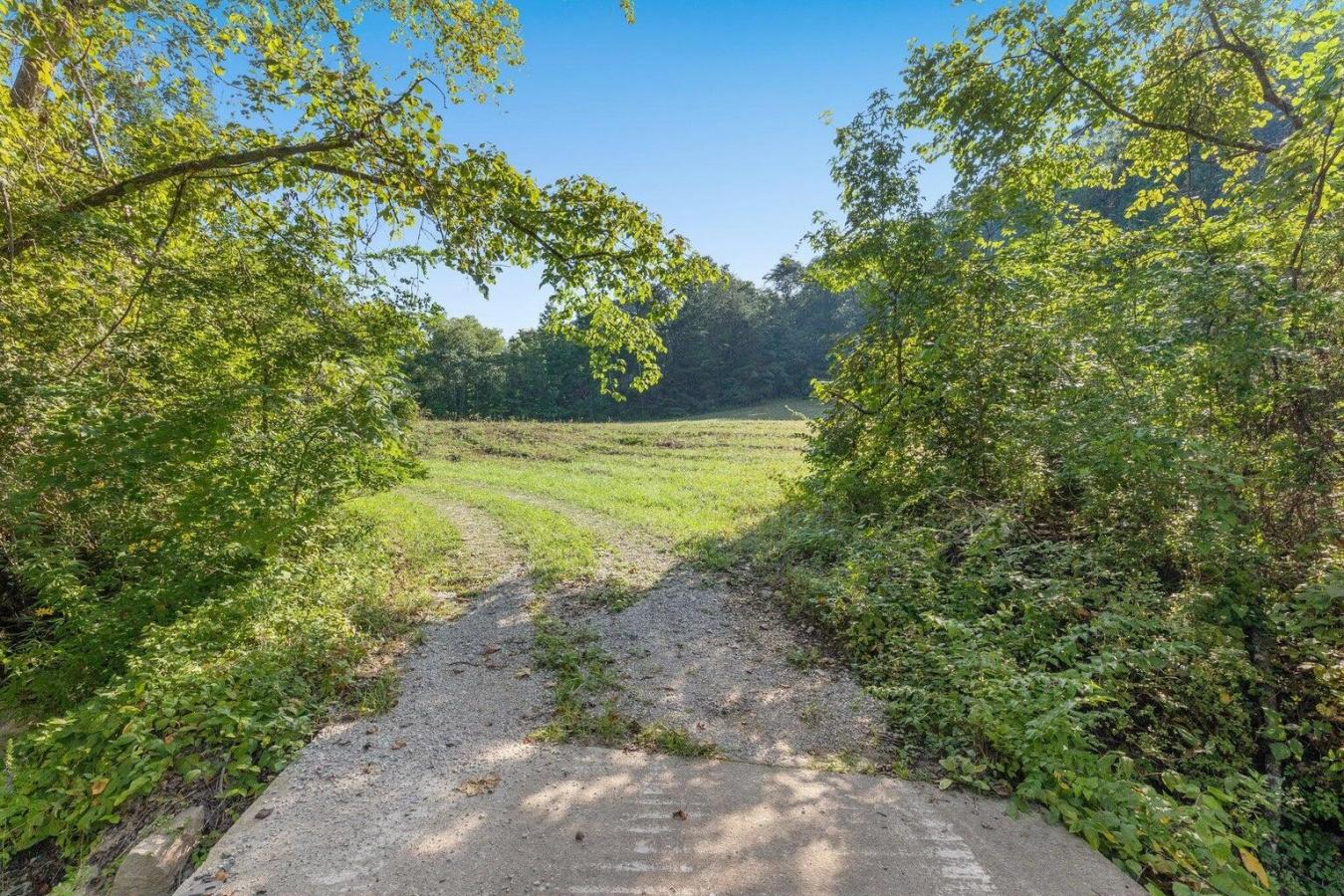 9999 Sunrise Valley Tract 3 Road, Irvine, KY, 40336, United States, ,Residential,For Sale,9999 Sunrise Valley Tract 3 Road,1671604