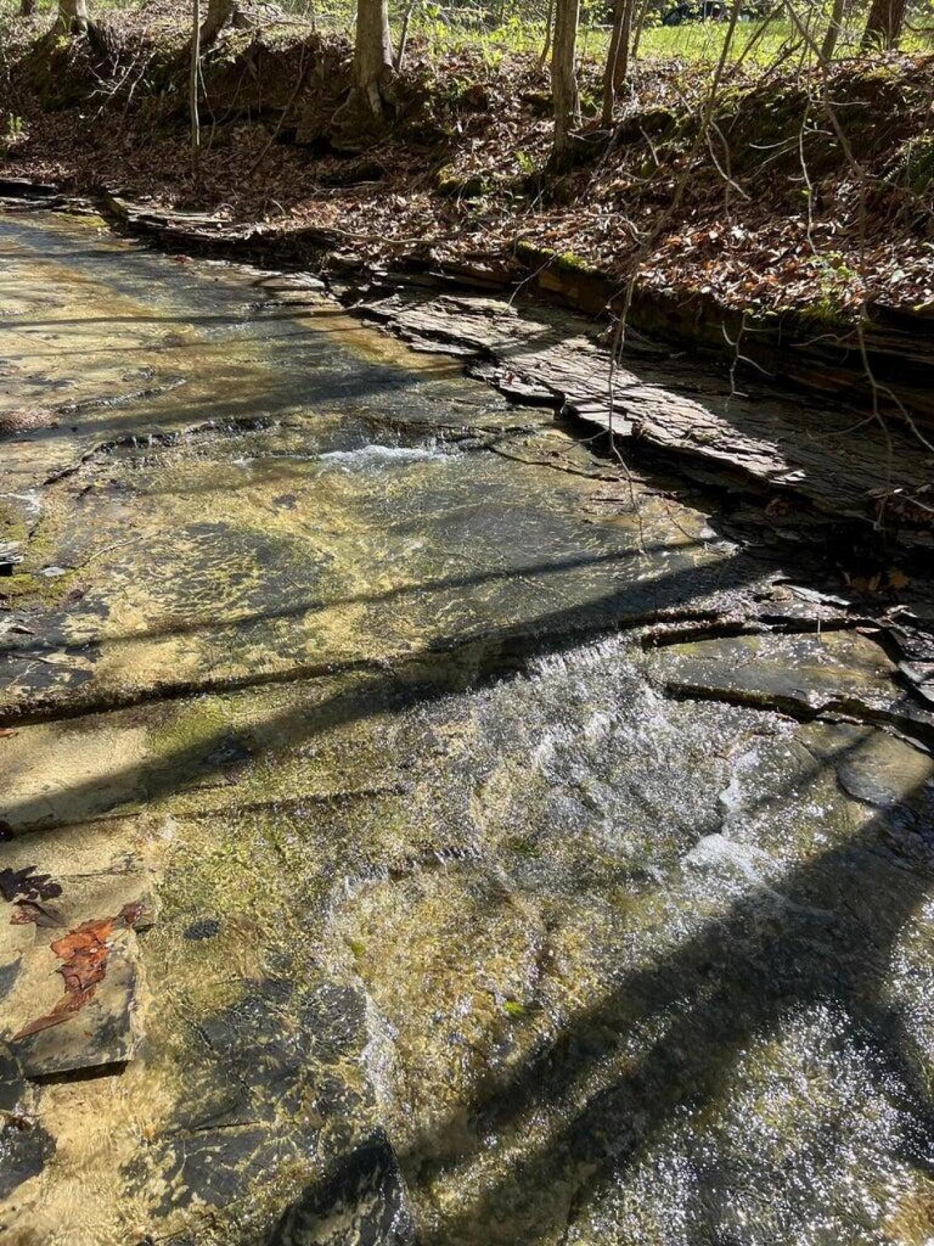 9999 Sunrise Valley Tract 3 Road, Irvine, KY, 40336, United States, ,Residential,For Sale,9999 Sunrise Valley Tract 3 Road,1671604