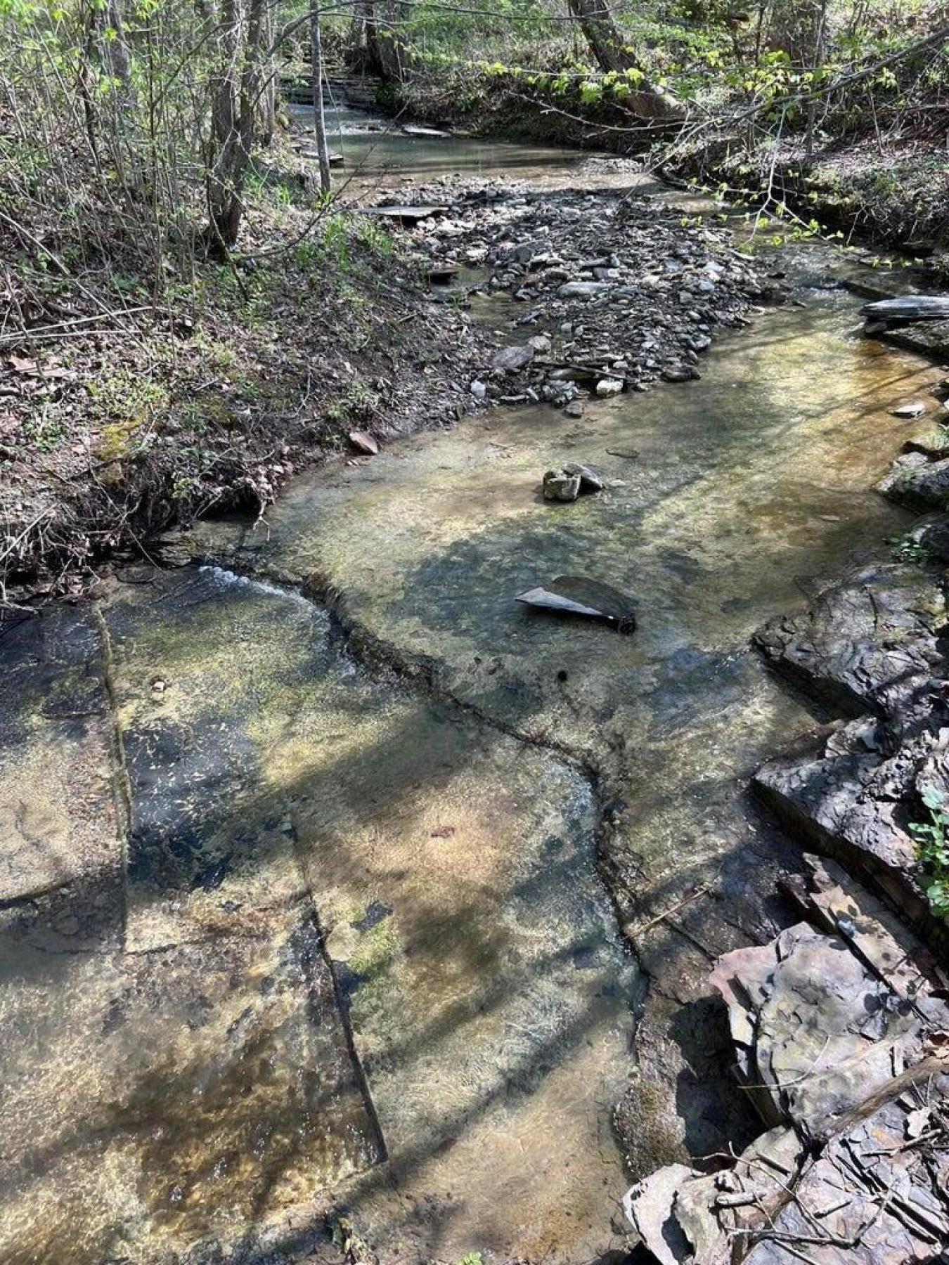 9999 Sunrise Valley Tract 3 Road, Irvine, KY, 40336, United States, ,Residential,For Sale,9999 Sunrise Valley Tract 3 Road,1671604