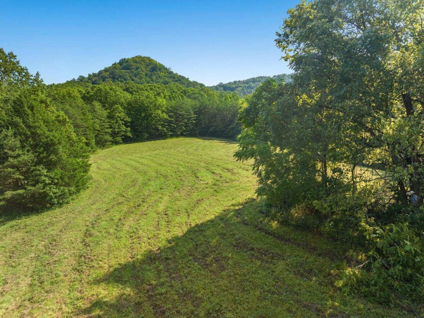 9999 Sunrise Valley Tract 3 Road, Irvine, KY, 40336, United States, ,Residential,For Sale,9999 Sunrise Valley Tract 3 Road,1671604