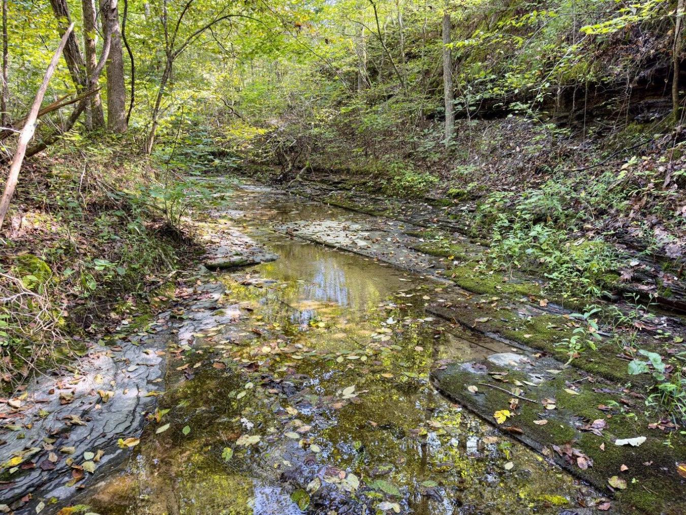 9999 Sunrise Valley Tract 3 Road, Irvine, KY, 40336, United States, ,Residential,For Sale,9999 Sunrise Valley Tract 3 Road,1671604