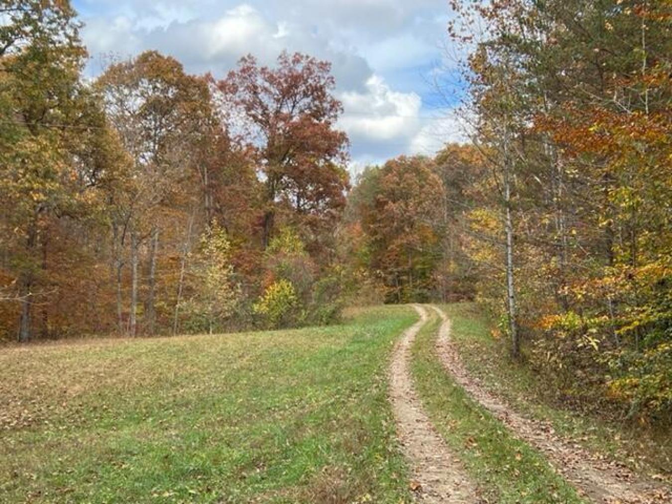 9999 Sunrise Valley Tract 3 Road, Irvine, KY, 40336, United States, ,Residential,For Sale,9999 Sunrise Valley Tract 3 Road,1671604