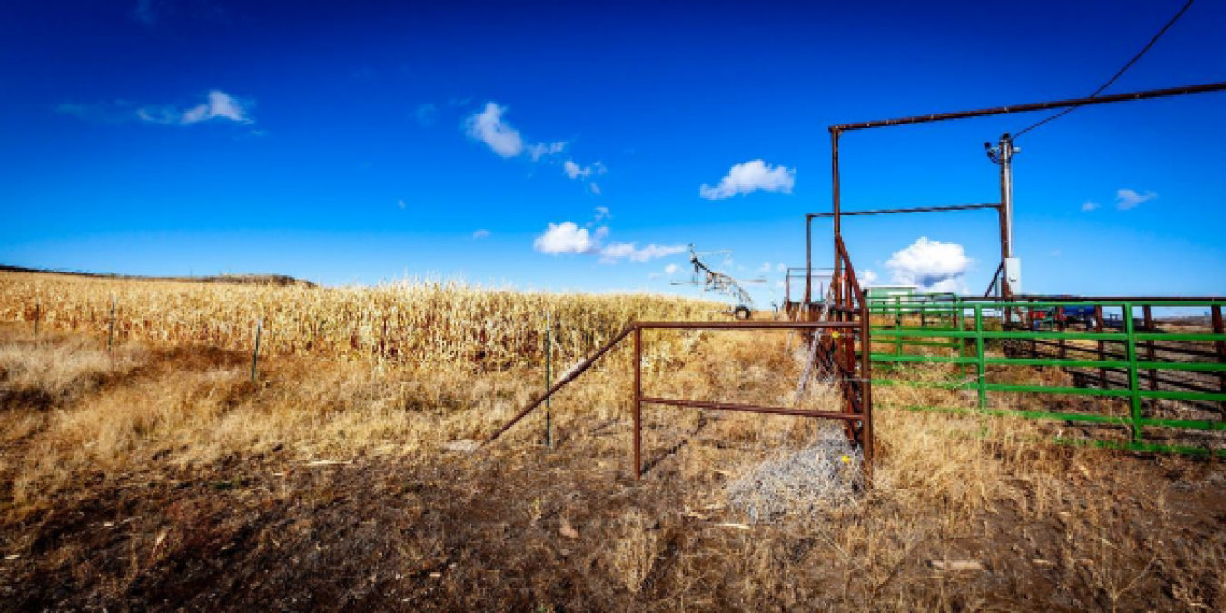 19242 Highway 30, Buhl, Idaho, 83316, United States, ,Residential,For Sale,19242 Highway 30,1673769