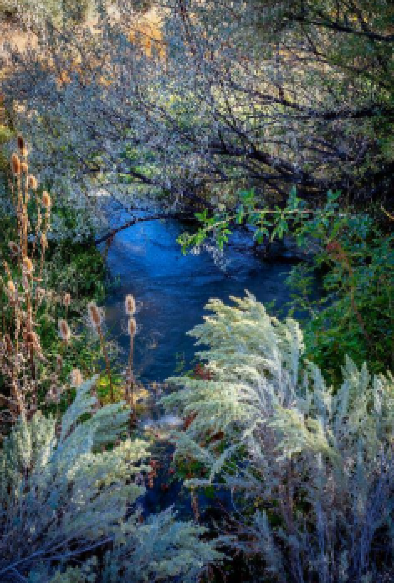 19242 Highway 30, Buhl, Idaho, 83316, United States, ,Residential,For Sale,19242 Highway 30,1673769